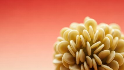 Close up of seed structure against gradated red background