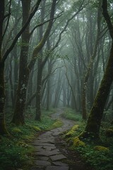 Winding stone path through misty green forest creating an atmospheric and serene natural landscape with ancient moss-covered trees.