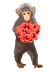 Baby Monkey holding Rose bouquet