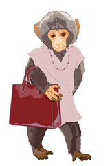 Girl monkey wearing a pink dress