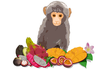 Happy Monkey with tropical fruits