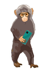 Intelligent looks cute Monkey with smartphone