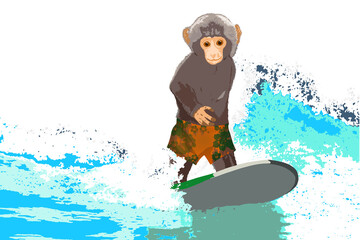 Cute monkey surfer