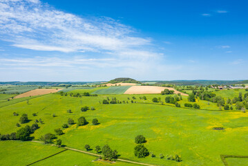 Obraz premium Wide aerial view of lush green fields dotted with small trees and wildflowers, leading to a gentle hill beneath a vibrant blue sky with scattered clouds in the Nivernais countryside.