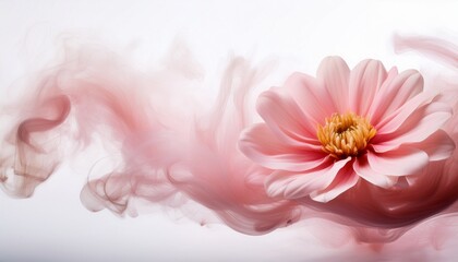 elegant pink flower blooms with abstract smoke on white evoking grace and beauty