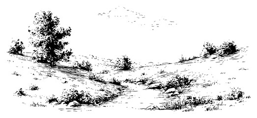 Fototapeta premium Rural landscape sketch with rolling hills trees and winding path