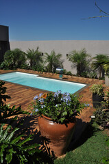 &aacute;gua de piscina transparente no ver&atilde;o , paisagismo tropical