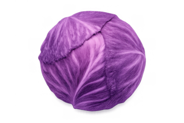 Whole purple cabbage, a crisp and vibrant vegetable ingredient for healthy cooking, on a transparent background