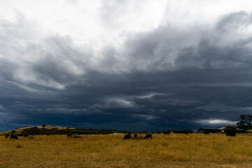 Fototapeta premium Stormy skies over the rural countryside