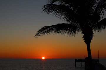 Obraz premium Sunset Over Calm Ocean With Palm Silhouettes and Pier at Dusk, Tropical Seascape scene