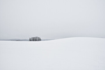 富良野　冬　雪景色