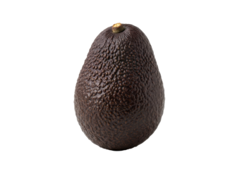 A single, perfectly ripe, whole Haas avocado with dark, bumpy skin and a light brown stem, isolated against a seamless, transparent studio background with copy space. Healthy eating concept