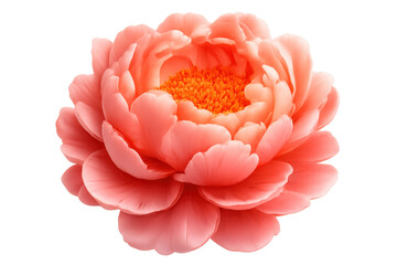 Peony flower blooming with pink and orange petals, vibrant botanical nature and floral beauty, transparent background