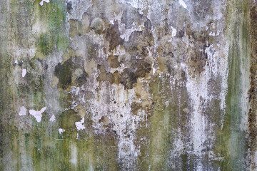 Weathered white concrete wall with algae, mold and lichen background and texture.