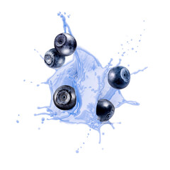 Milk shake splash and blueberries in air on white background