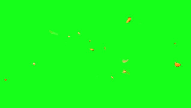 Weapon Fire Explosion Effect on Green Screen