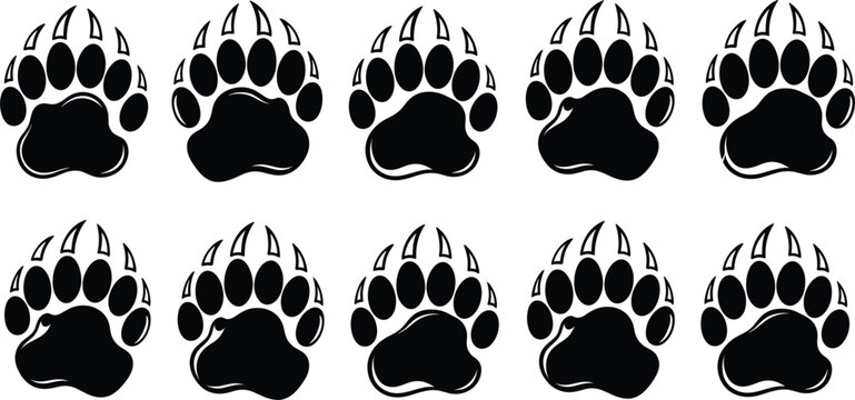 Black bear paw print silhouette set featuring animal track icons with sharp claws for wilderness themes.