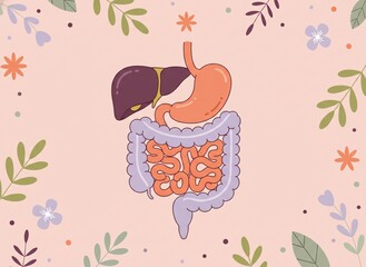 Digestive Health Anatomy