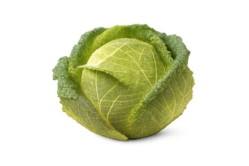 Fototapeta premium Savoy cabbage head with crinkled green leaves, fresh and raw, providing healthy organic food nutrition on transparent background
