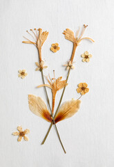 Beige dried flower arrangement