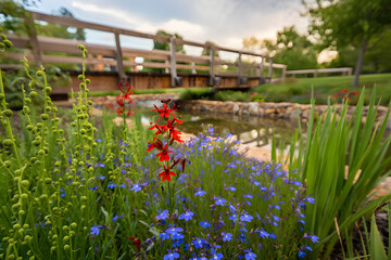 Climate resilience detail Rain garden swale with native plants after light rain water absorption natural