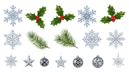 Decorative Christmas ornaments with holly and pine sprigs.