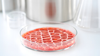 Future of food lab Petri dish with cultivated meat cells microscope view clean science innovation