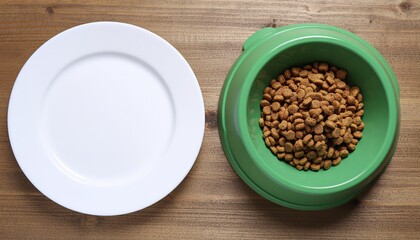 Overhead View of Breakfast Plate and Dog Bowl. Morning Wellness Routine with Pets. A simple healthy human breakfast plate next to a matching full dog food bowl on a clean wooden table.
