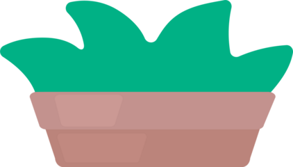 green plant in a pot