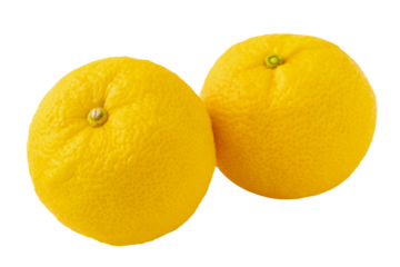 透明背景（png）に2個のユズ