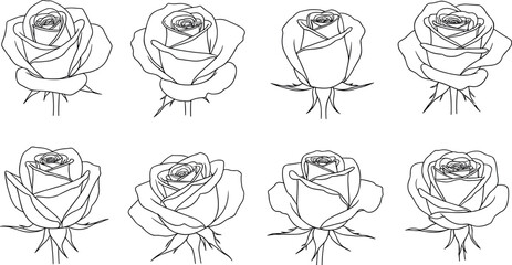 Elegant set of hand-drawn rose flower line art illustrations featuring various blooming stages and detailed floral outlines for romantic designs.