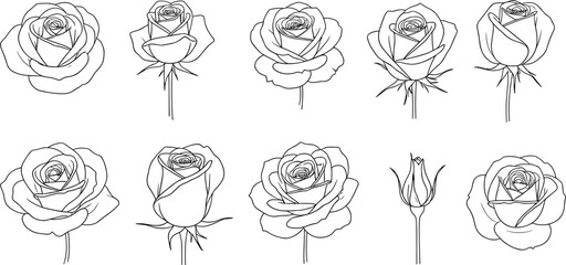 Elegant set of hand-drawn rose flower line art illustrations featuring various blooming stages and floral outlines for romantic designs.