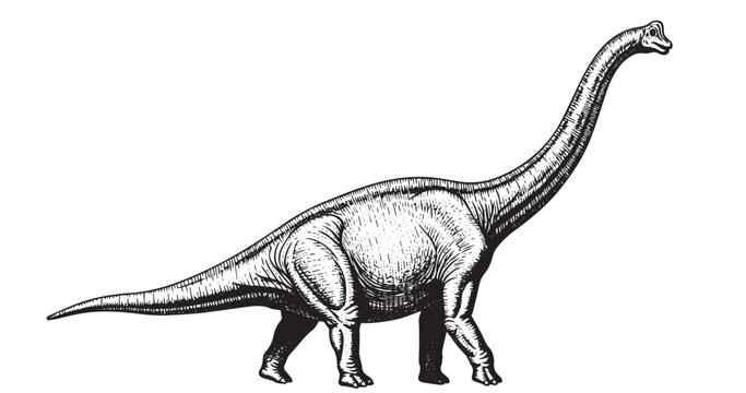 Brachiosaurus dinosaur profile portrait in antique engraving illustration
