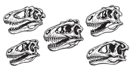 Dinosaur skull tattoo engraving with dark vintage etching details © Gabut Stock