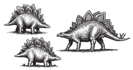 Stegosaurus dinosaur illustrated in bold vintage woodcut style © Gabut Stock