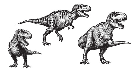 Tyrannosaurus rex antique engraving artwork with dramatic vintage details © Gabut Stock