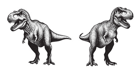 Tyrannosaurus rex illustration in vintage stipple engraving style © Gabut Stock
