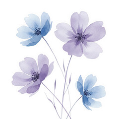 Fototapeta premium Watercolor floral bouquet, blue and purple flowers isolated on transparent background