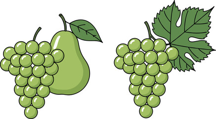 Fresh green grape clusters and a ripe pear vector illustration isolated on white background for organic food branding.