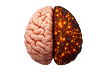 Human brain hemisphere transforming into a glowing digital circuit, representing artificial intelligence and advanced technology on transparent background