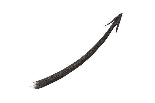 Devil tail creating a demon, fantasy monster, or evil character, isolated on transparent background