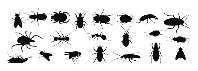different types of insect silhouettes vector © Noodles