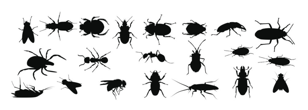 different types of insect silhouettes vector