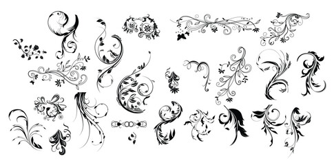  floral swirl decorative ornament set vector