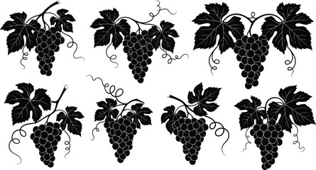 Black grape cluster silhouette set with leaves and tendrils, botanical vineyard vector icons for wine, nature, and decoration themes