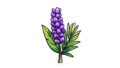 Stylized illustration of lavender with vibrant purple flower spike and green leaves, cut-out style