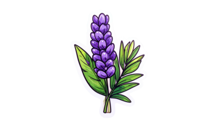Stylized illustration of lavender with vibrant purple flower spike and green leaves, cut-out style