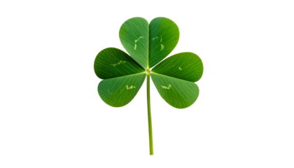 Isolated close-up of a three-leaf clover on a black background