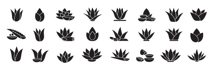 Fototapeta premium aloe vera flat glyph icons succulent tropical plant