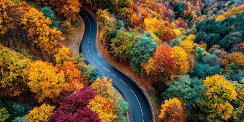 Scenic winding road through vibrant autumn forest with colorful foliage, showcasing rich reds, oranges, and yellows under a clear blue sky